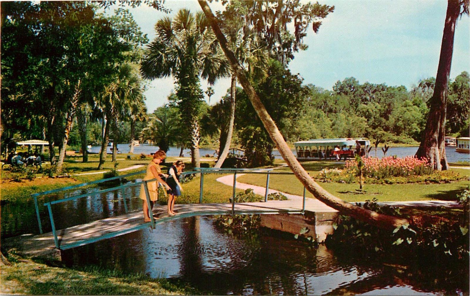 Silver Springs Park Scene Women's Fashion 1960'S Florida FL Postcard