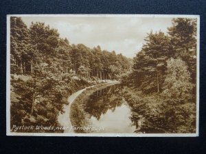 Hampshire FARNBOROUGH Pystock Woods & Basingstoke Canal c1930s Postcard by Frith