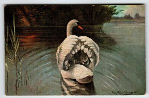 Swan At Lake Postcard Rustic View Artist SIgned Muller Wildlife HKM 314 Unused