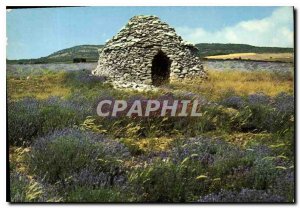 Postcard Modern Belles Images of Provence lavender in Boris