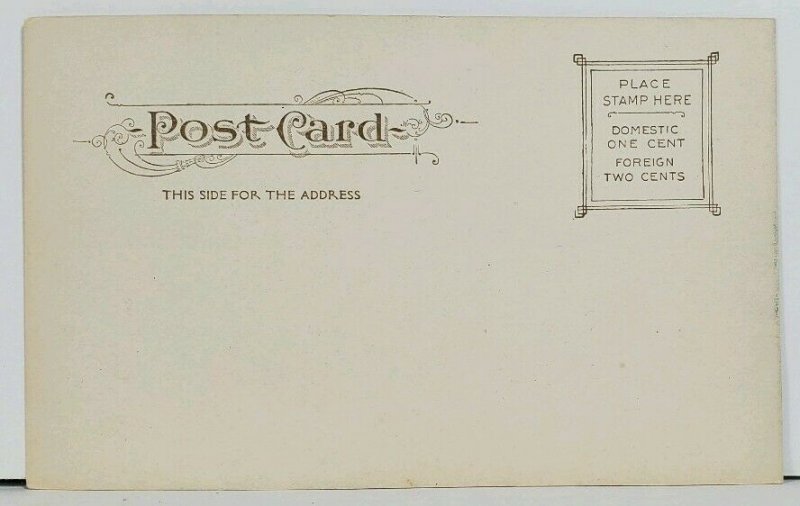NY Post Office Early udb  Postcard M6