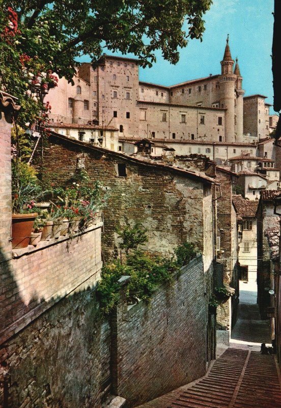 Postcard Saint John Stairs Urbino Oratorio di San Giovanni Battista Chapel Italy