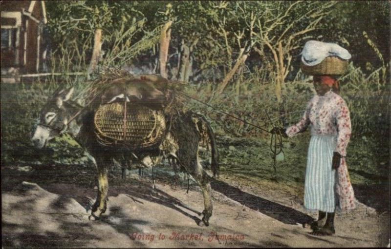 Jamaica Native Black Woman Going to Market Donkey etc c1905 Postcard #3