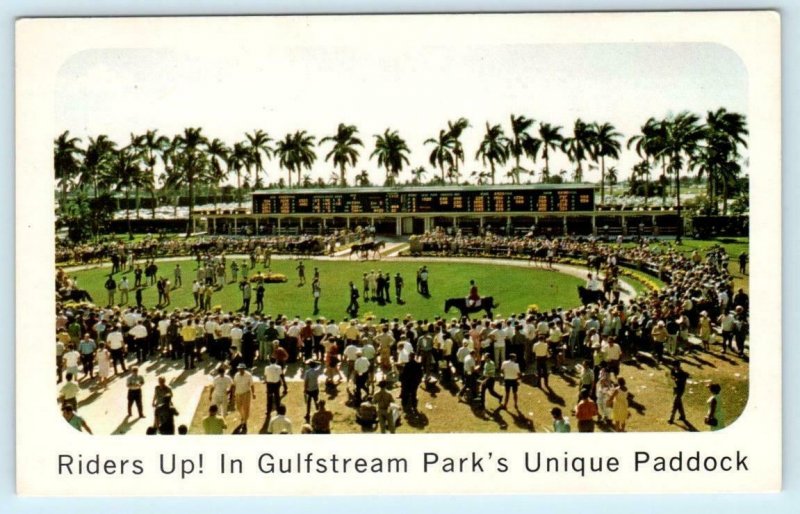 3 Postcards HALLANDALE, FL ~ Florida Derby GULFSTREAM PARK Horse Racing c1950s 