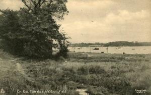 UK - England, Waldringfield. On the Marshes  -  RPPC