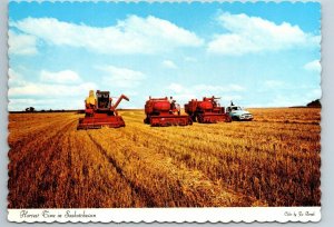 Harvest Time In Saskatchewan, Chrome Postcard #2