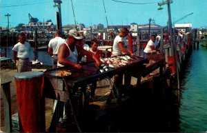 New Jersey Cape May Dock Scene Cleaning The Catch