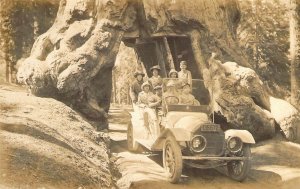 RPPC,'15 Touring Car, and Family Driving Through Wawona Sequoia,CA, Old Postcard