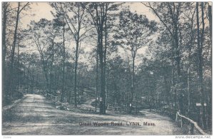 LYNN, Massachusetts; Great Woods Road, PU-1910