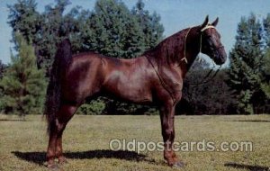 Artist Alfred Mainzer Horse Unused two pin holes