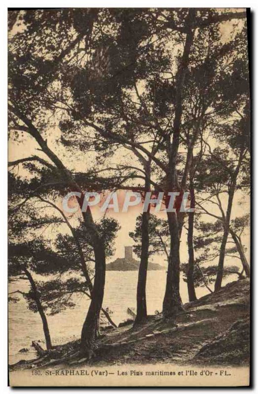 Old Postcard St Raphael Maritime Pines and & # 39Ile d & # 39Or