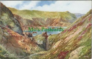 Channel Islands Postcard - View Over Devil's Hole, Jersey RS26271