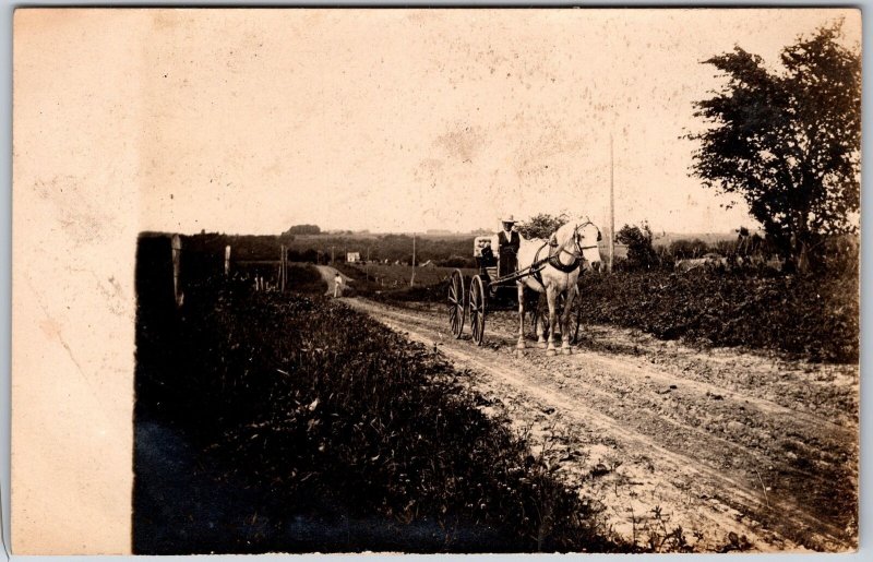 Horse and Buggy On Farm Road Transportation Stock Antique Postcard