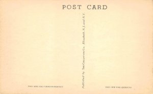 SIMSBURY, CT Bathing Beach MASSACOE STATE FOREST Connecticut 1940s Postcard