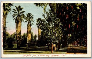 Vtg Riverside California CA Magnolia Avenue Tree Lined Street View Postcard