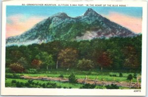 Postcard - Grandfather Mountain,  In The Heart Of The Blue Ridge - N. C.