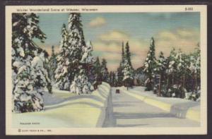 Winter Wonderland Scene Wausau WI Postcard 4479