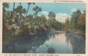 Florida Tarpon Springs The Beautiful Anclote River Curteich