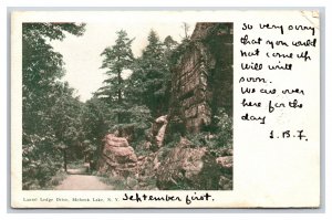 Laurel Lodge Drive Mohonk Lake New York NY 1905 UDB Postcard N16