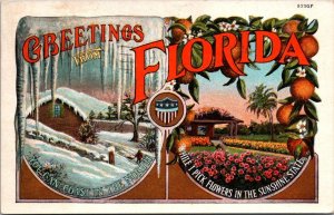 Florida Greetings I'll Pick Flowers You Can Coast In The North 1934