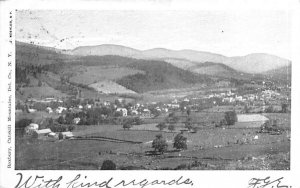 Bird's Eye View in Roxbury, New York