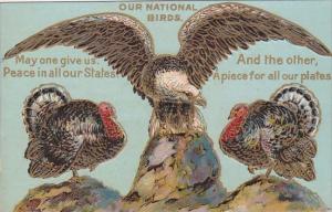 Our National Birds Bald Eagle and Turkey