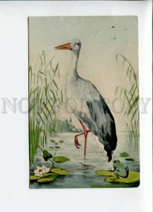 3156551 Hunt HERON Stork & FROG Vintage Color PC 1909 year