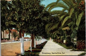 Magnolia Trees Broadway Santa Ana CA Postcard PC59