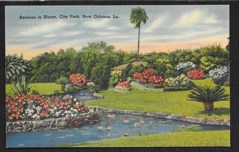 Blooming Azaleas City Park New Orleans Louisiana Unused c1930s