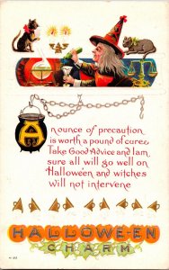 Vintage Witch, Cat, Cauldron, Test Tube, Spell, Love, Potion, Halloween Postcard