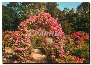 Modern Postcard L'Hay les Roses (Val de Marne) The Rose Garden