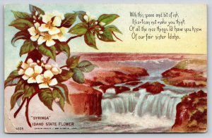 Fair Sister Idaho~State Flower Syringa~Shoshone Falls Birds Eye View~1911 PC