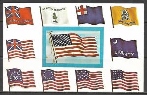 Famous Flags Of America - [MX-259]