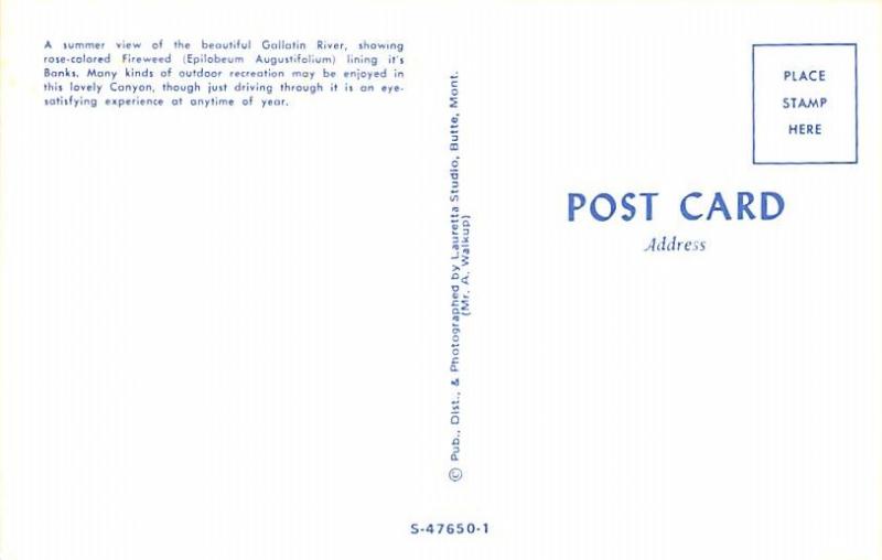 Gallatin River - Butte, Montana