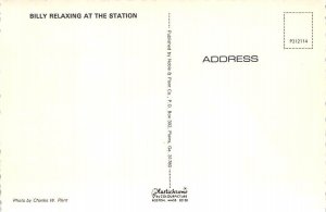 Billy Relaxing At The Station Billy Relaxing At The Station, Plains, Georgia