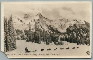 RAINIER NATIONAL PARK AK DOG TEAM ANTIQUE REAL PHOTO POSTCARD RPPC