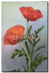 Old Postcard Fantasy Flowers Poppies