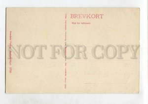 3144719 DENMARK Parti fra NYHOLTE Vintage postcard