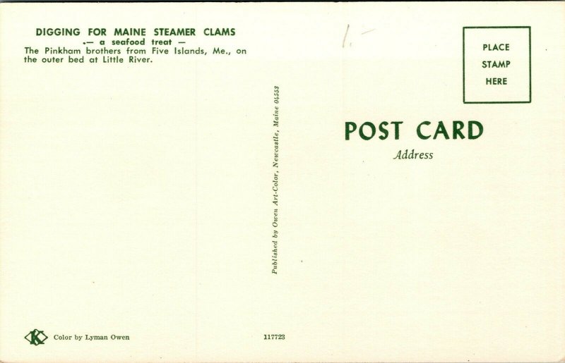 Vtg Five Islands Maine ME Pinkham Brother Digging for Steamer Clams Postcard