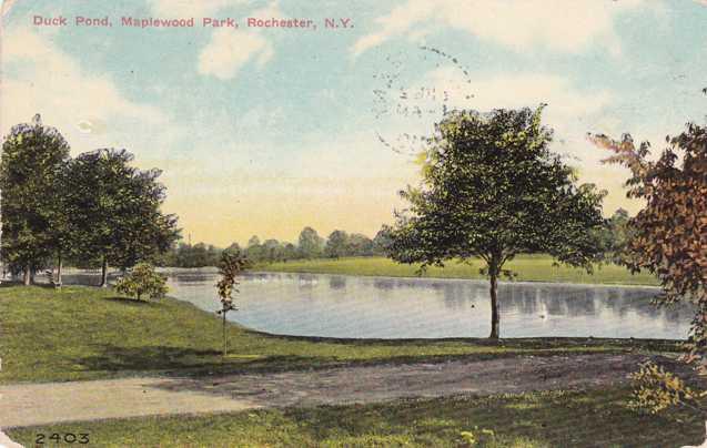Duck Pond at Maplewood Park, Rochester, New York - pm 1910 - DB