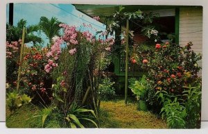 Guamanian's Love Their Gardens Fair With Flowers Blooming Everywhere Postcard A6