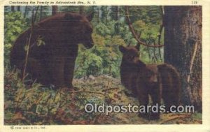 Adirondack Mountains, NY USA Bear Unused crease bottom edge, corner wear more...