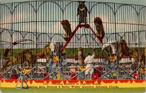 Ringling Barnum and Bailey Training animal Postcard, sarasota Florida