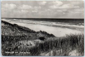 M-79681 Sea and Dune Bergen aan Zee Netherlands