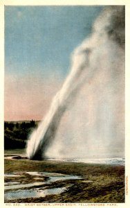 WY - Yellowstone Nat'l Park. Daisy Geyser