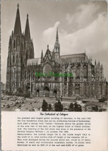 Germany Postcard - The Cathedral of Cologne   RR14184