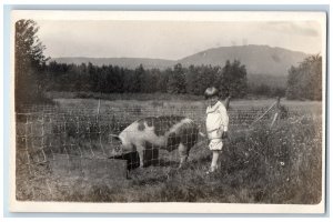 c1910's Little Boy Feeding Pig Hog Heffer Unposted Antique RPPC Photo Postcard