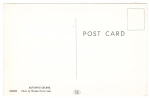 Autumn Colours by the Lake USA