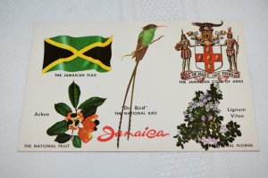 H-38 Jamaica Postcard Novelty Trading Company 81671