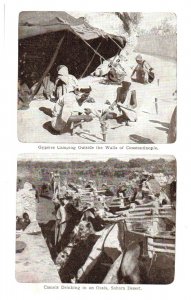 Gypsies Camping Outside Constantinople and Camels Drinking Egypt Postcard